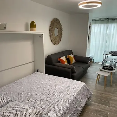 Apartment Renove 200 M De La Avec Parking Prive Agde