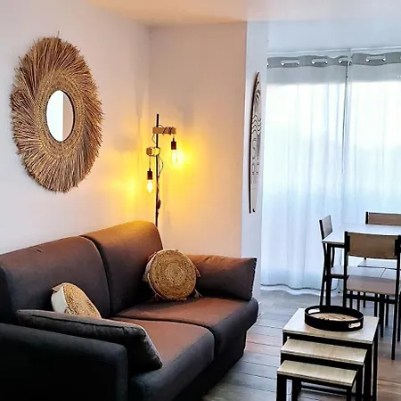 Apartment Renove 200 M De La Avec Parking Prive Agde
